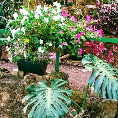 Appartement La Carihuela A 5 Minutos De La Playa,vistas Al Mar