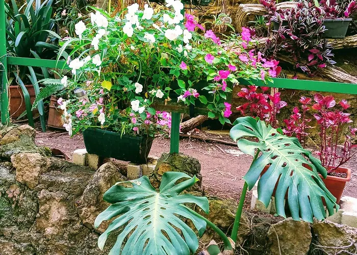 Apartamento La Carihuela A 5 Minutos De La Playa,vistas Al Mar