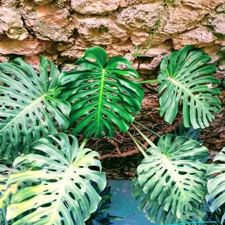 La Carihuela A 5 Minutos De La Playa,vistas Al Mar