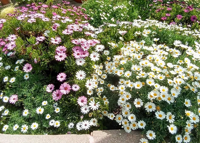 Apartment La Carihuela A 5 Minutos De La Playa,vistas Al Mar *
