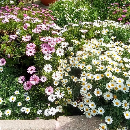 Apartamento La Carihuela A 5 Minutos De La Playa,vistas Al Mar *