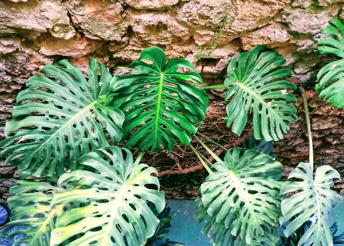 La Carihuela A 5 Minutos De La Playa,vistas Al Mar